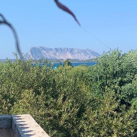 La Cinta Villa San Teodoro  Eksteriør bilde