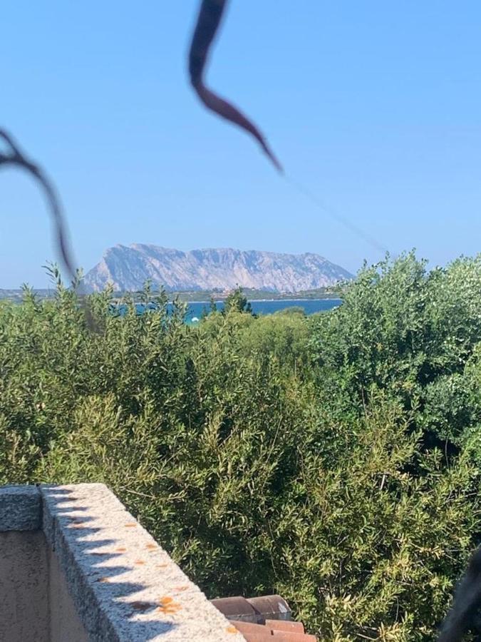 La Cinta Villa San Teodoro  Eksteriør bilde