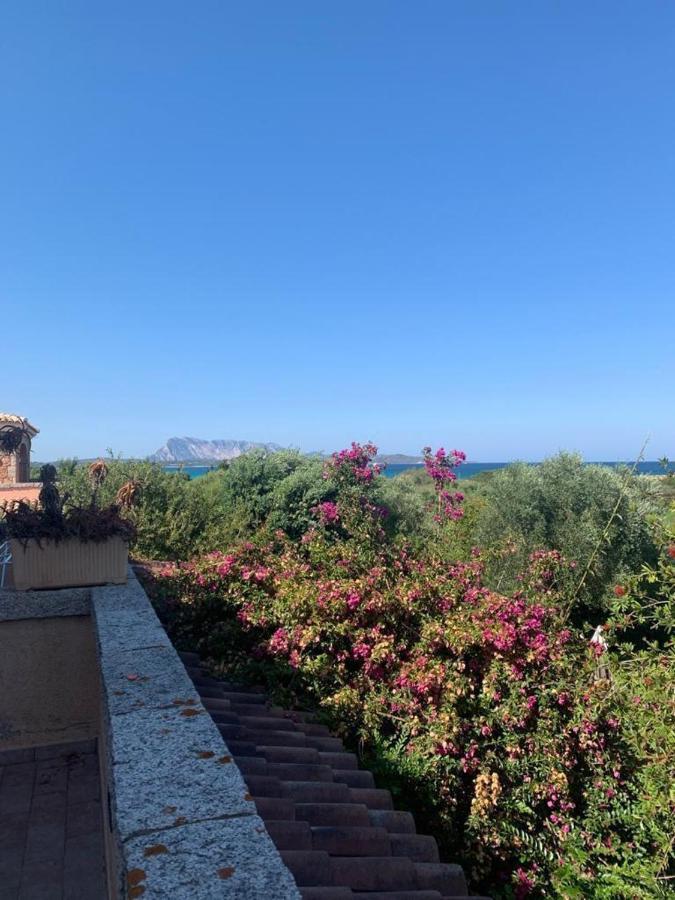 La Cinta Villa San Teodoro  Eksteriør bilde